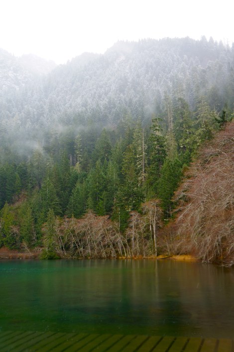And then…the lake! Oh the lake! I cannot wait to see this in the spring. 