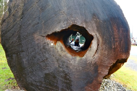 Yes, we did. HAHA! We stopped at the Forks Info Center to enjoy some Twilight things ;)