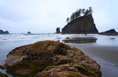 La Push - Second Beach