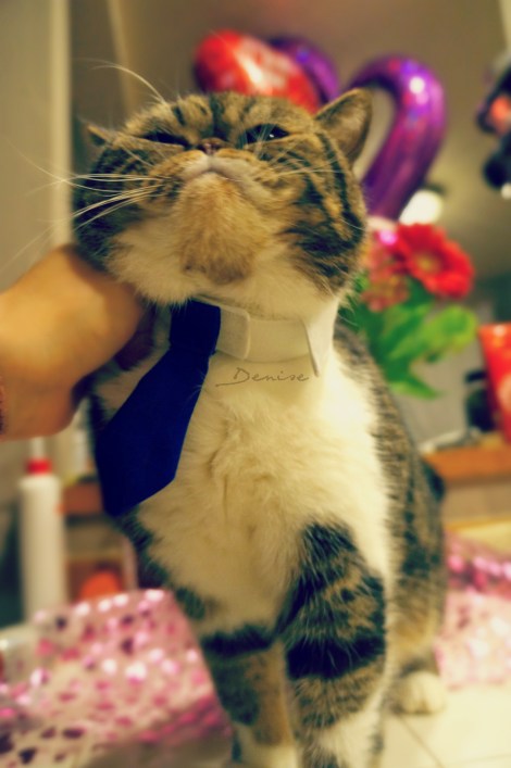 His unconditional love is just so amazing!