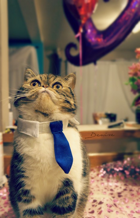 Is he not the cutest?! =) Such a little stud!