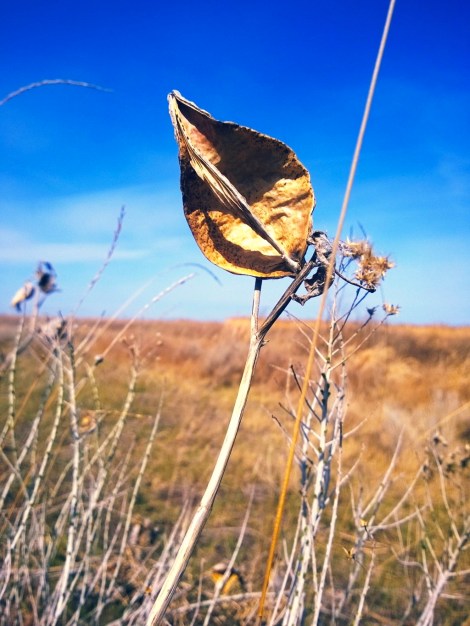 It was so pretty though! =)