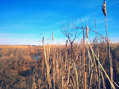 The central WA beauty. Hahaha :) You learn to appreciate it when you're away in the city.