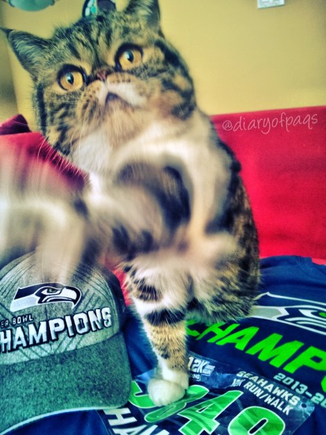 Paqs wanted to take a selfie : ) IG - diaryofpaqs