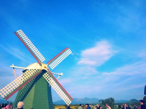 RoozenGaarde.  Most recognized by its big windmill. 