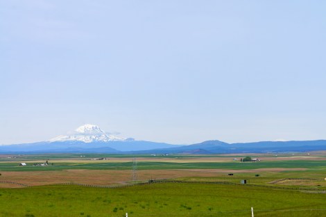 How beautiful was the view, though? I thiiiiink this was Mt. Hood.