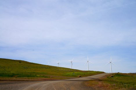 Roadway to the windmills, please. 