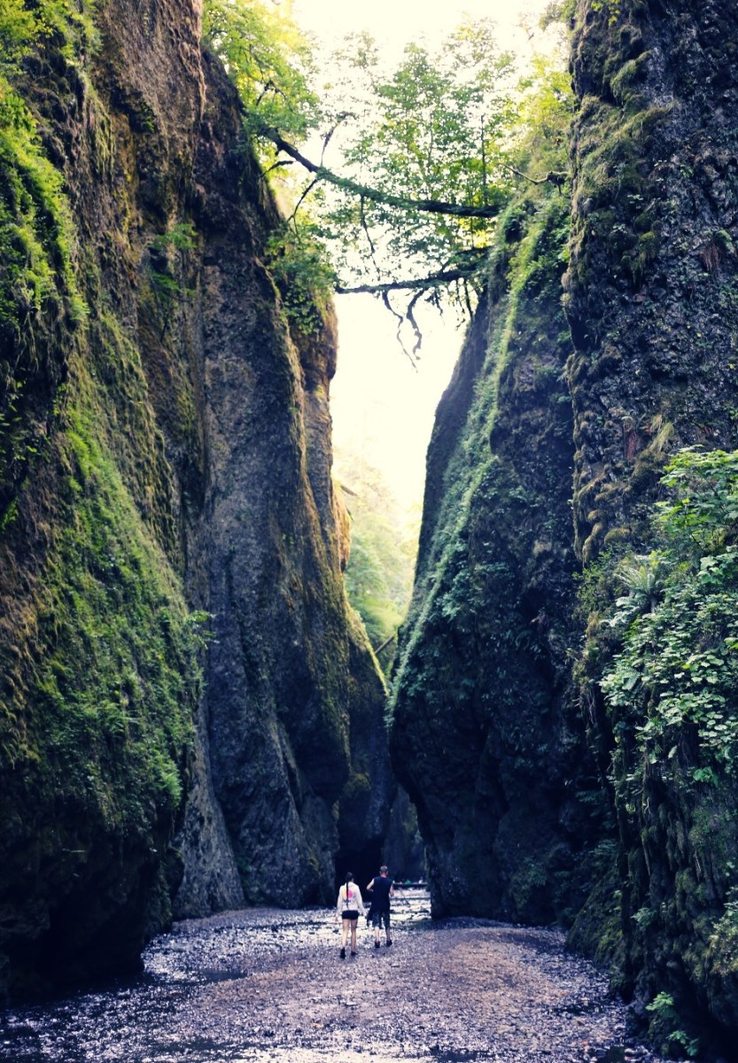 Oneonta Gorge OR