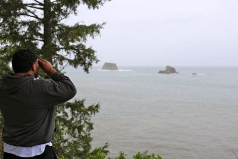 On our way back to Seattle, we made a few stops. We spotted a whale here!