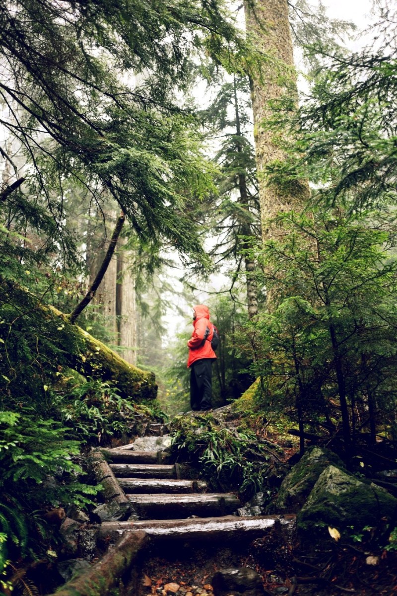 Heather Lake trail, WA