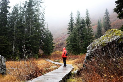 This place has such cute a pretty boardwalk all around the lake. 
