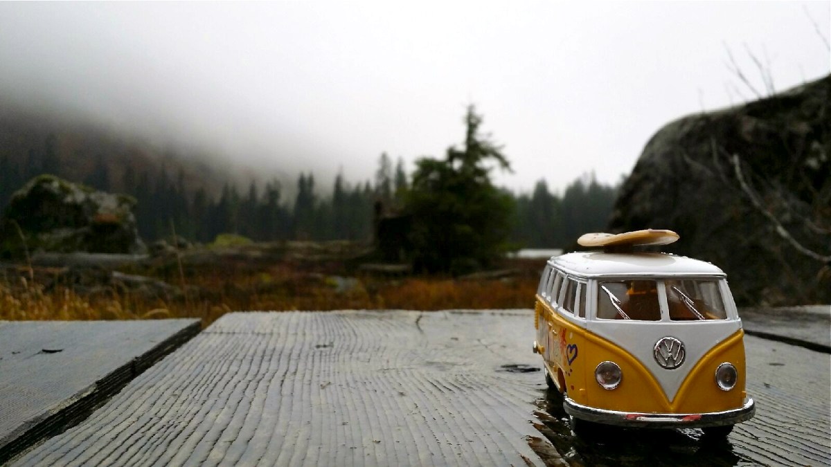VW Bus 1962 Heather Lake WA