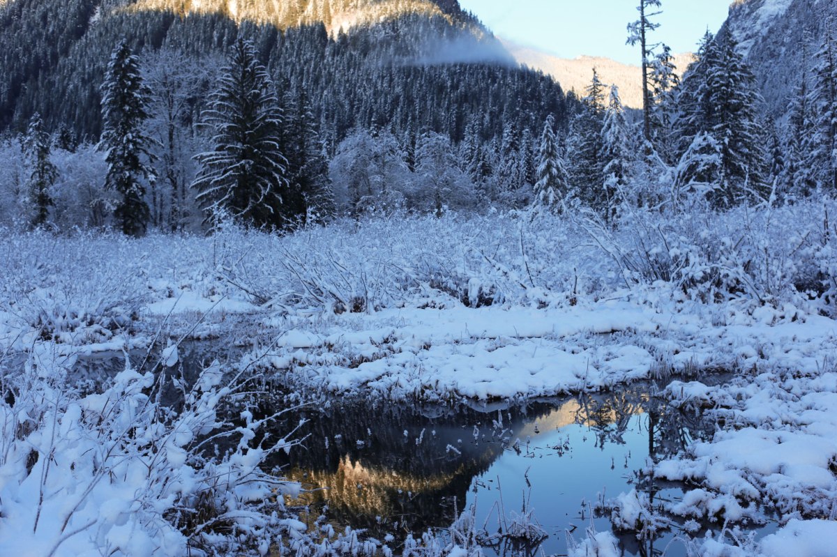Big Four Ice Caves in winter