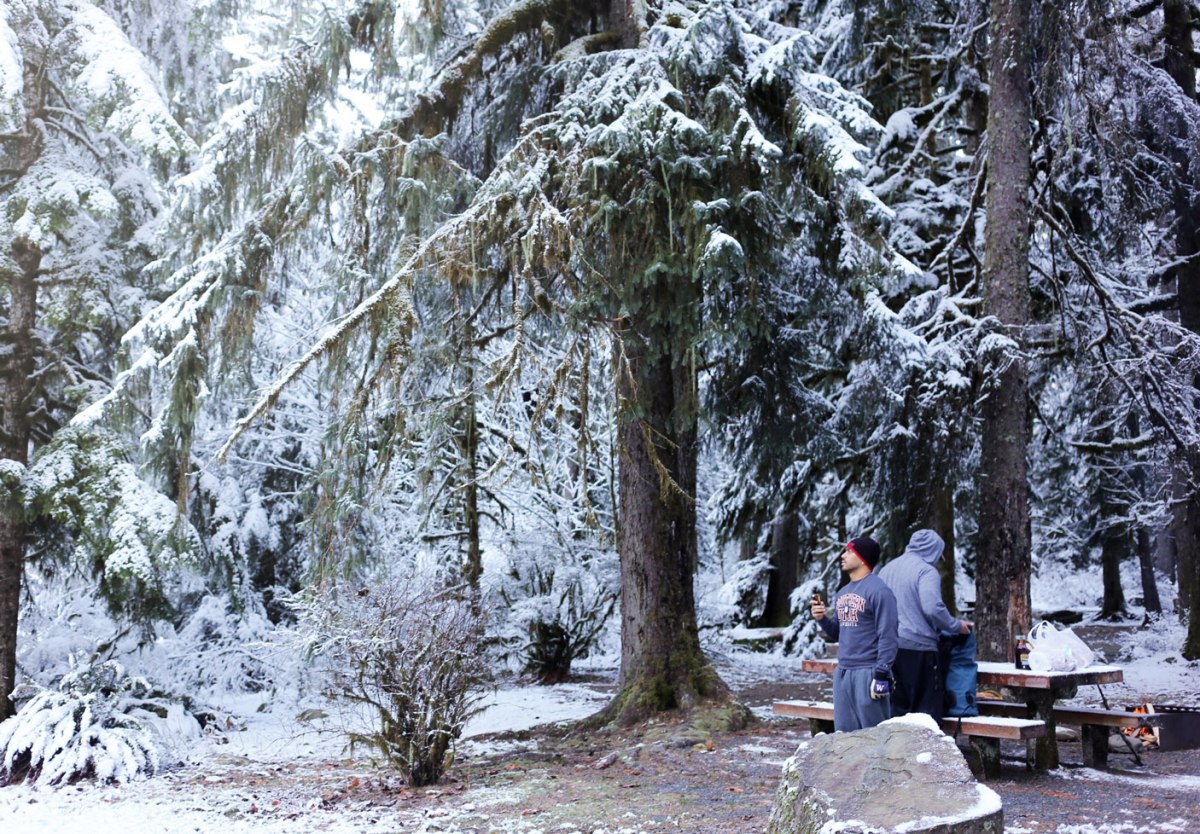 Verlot Campground, winter