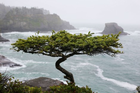 Cape Flattery, PNW