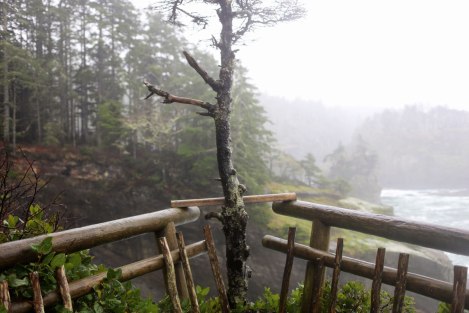 Cape Flattery, PNW
