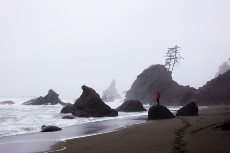 Shi Shi Beach, PNW, Of Wildest Heart Photog