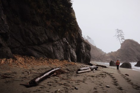 Shi Shi Beach, PNW, Of Wildest Heart Photog, PNW