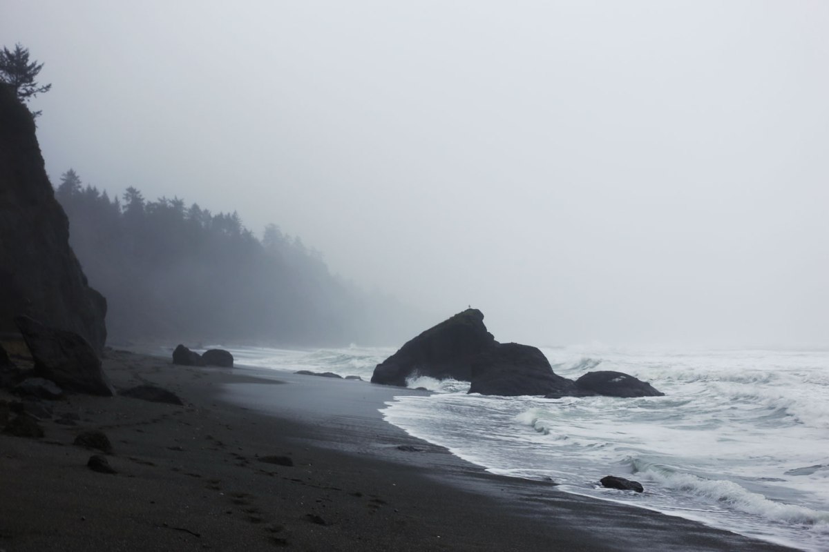 Shi Shi Beach, PNW, Washington Coast