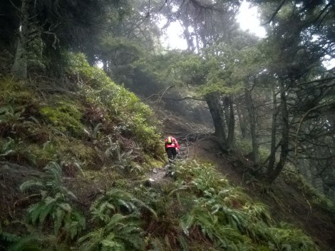 Shi Shi Beach, PNW, Washington Coast