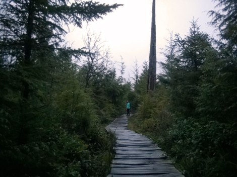 Shi Shi Beach, PNW, Washington Coast
