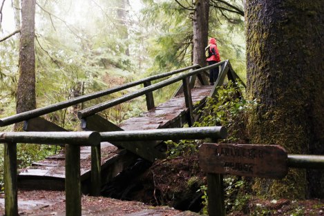 Shi Shi Beach, PNW, Washington Coast