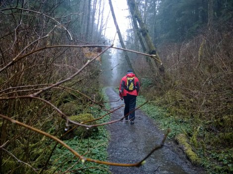 Shi Shi Beach, PNW, Washington Coast