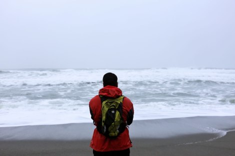 Shi Shi Beach, PNW, Washington Coast