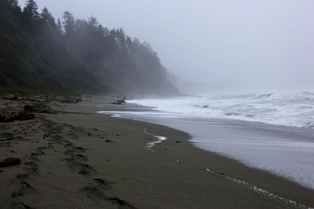 Shi Shi Beach, PNW, Washington Coast