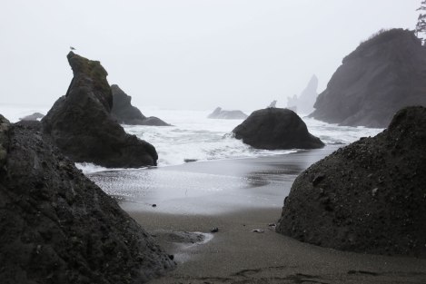 Shi Shi Beach, PNW, Washington Coast
