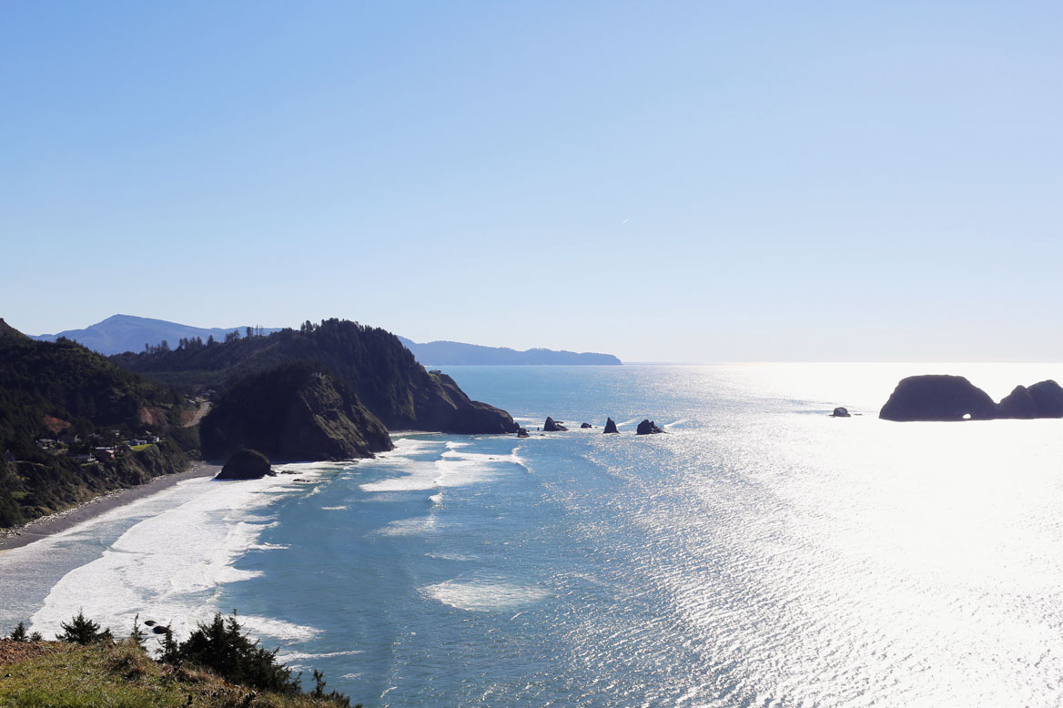 Octopus Tree, Oregon Coast road trip