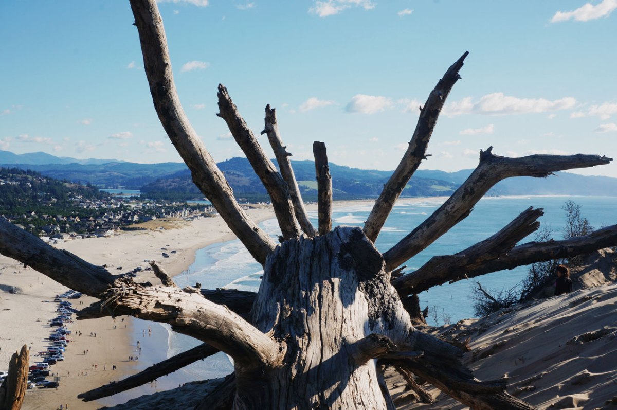 Oregon Coast, Cape Kiwanda, road trip