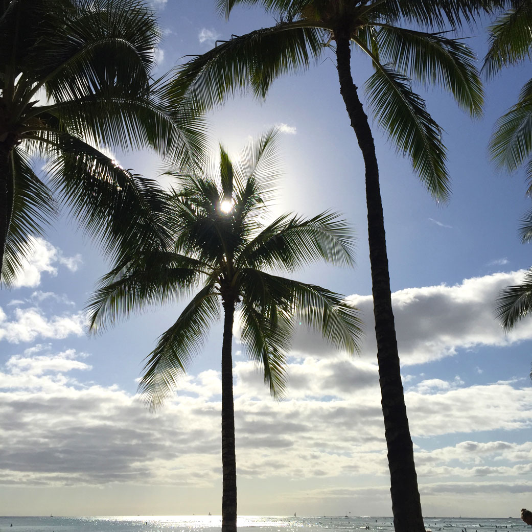 waikiki