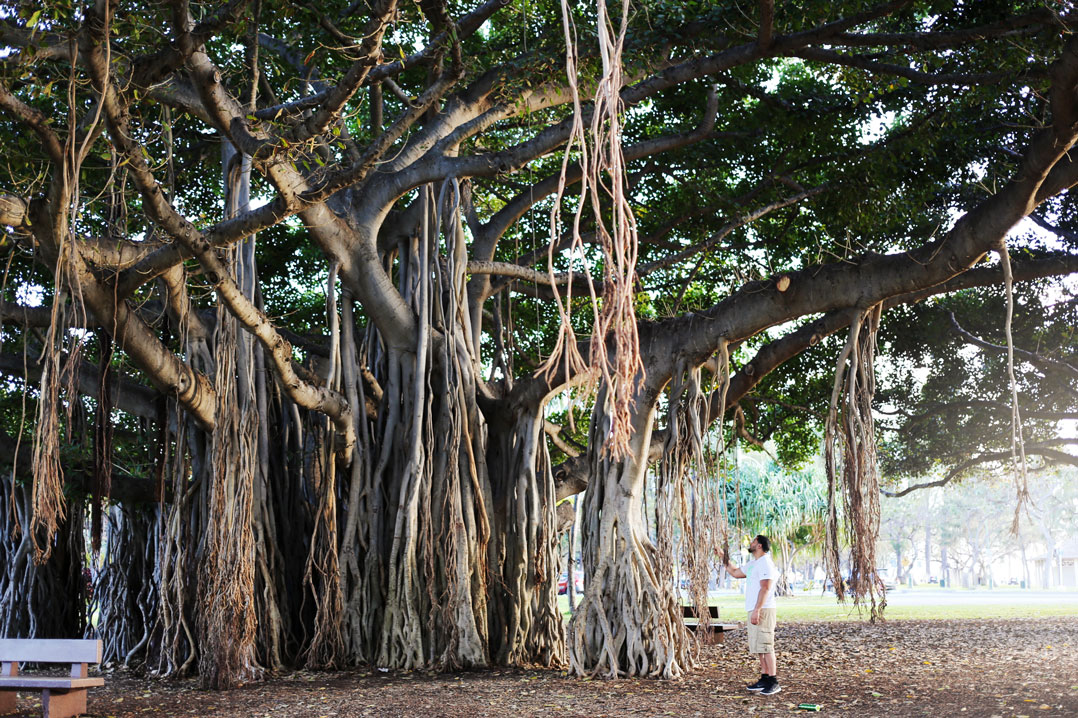 waikiki