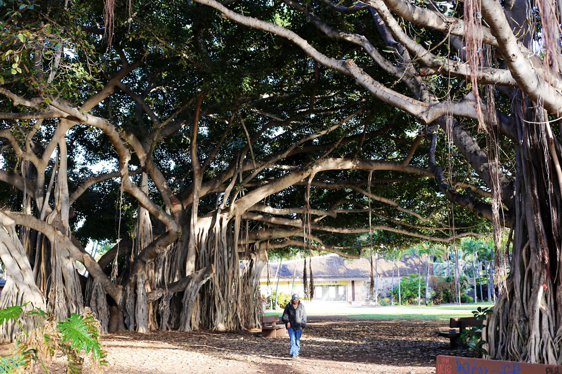 waikiki