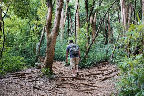 Old Pali Hwy, Oahu Hawaii, ruins
