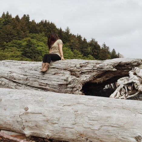  Rialto Beach, Washington coast, olympic peninsula