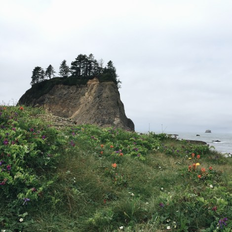 Rialto Beach, Washington coast, olympic peninsula