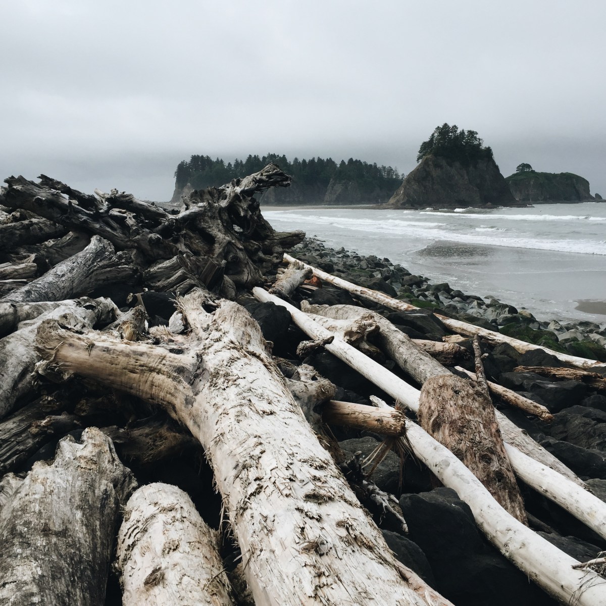 Rialto Beach, Washington coast, olympic peninsula