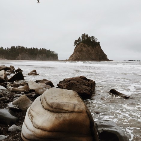 Rialto Beach, Washington coast, olympic peninsula