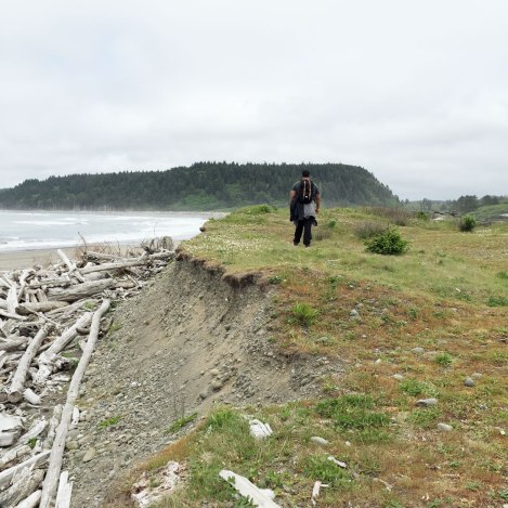 Rialto Beach, Washington coast, olympic peninsula