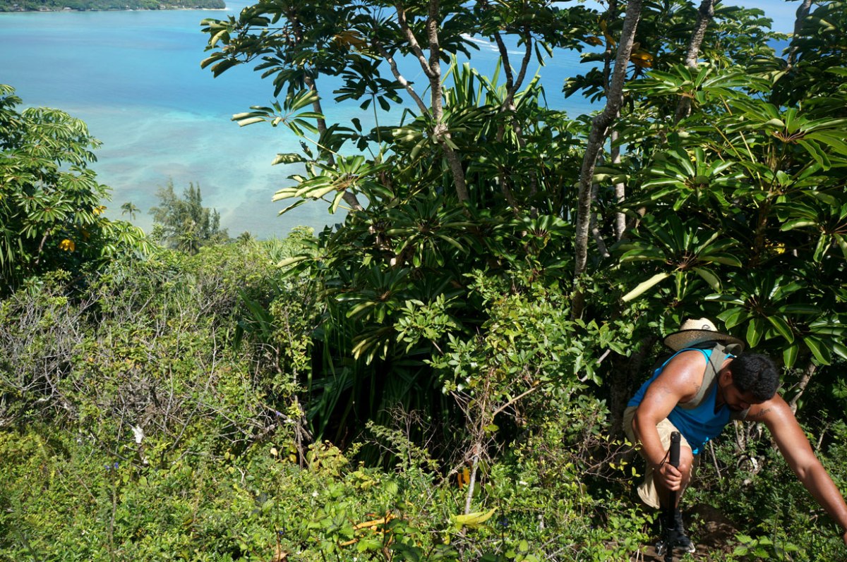 pu'u manamana, oahu hawaii hike