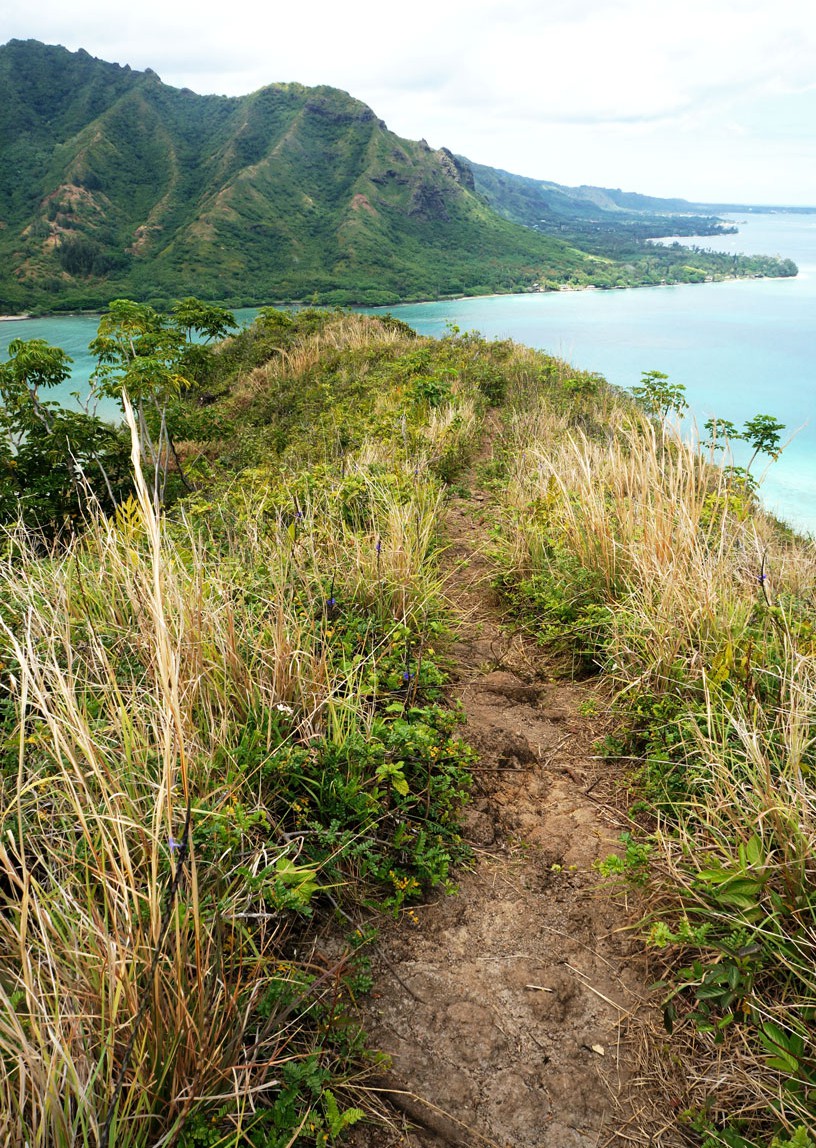 pu'u manamana, oahu hawaii hike