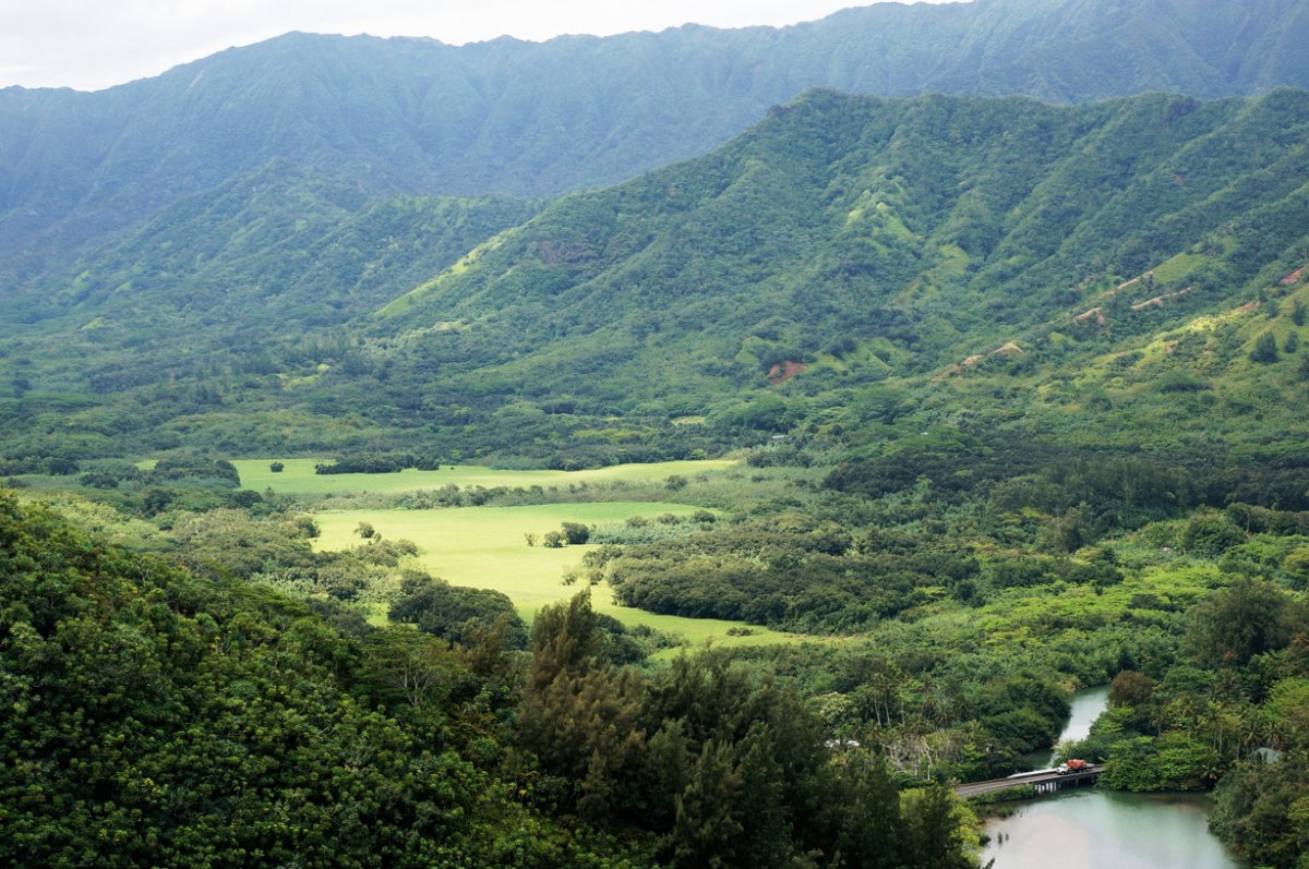 pu'u manamana, oahu hawaii hike