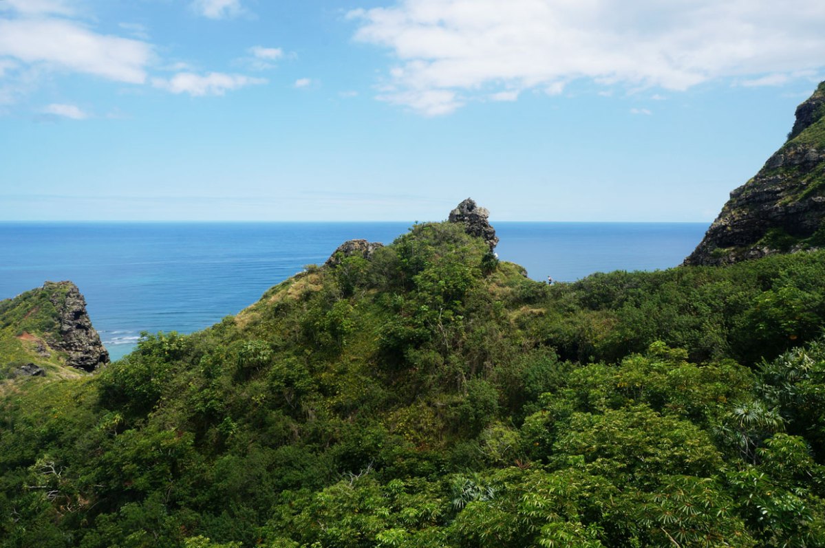 pu'u manamana, oahu, hawaii hike