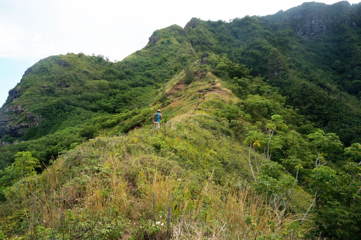 pu'u manamana, oahu, hawaii hike