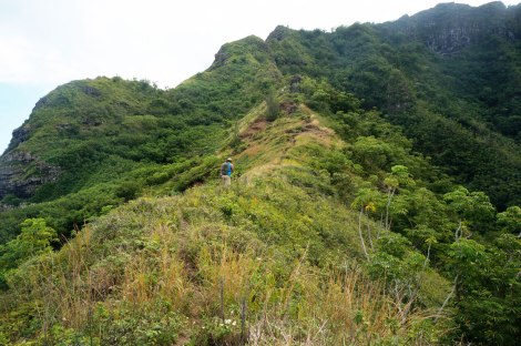 pu'u manamana, oahu, hawaii hike
