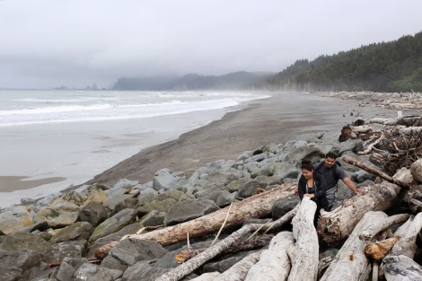 Rialto Beach, Washington coast, olympic peninsula