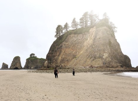 Rialto Beach, Washington coast, olympic peninsula