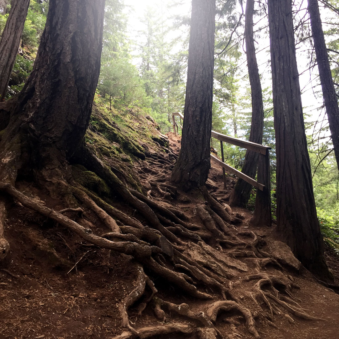 Umpqua Hot Springs, Oregon, road trip